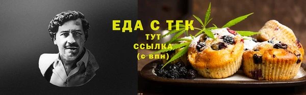 индика Горнозаводск