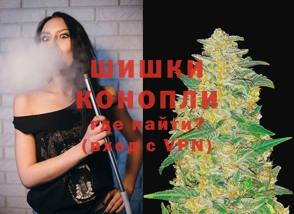 молекула духа Балахна
