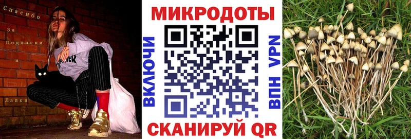 даркнет сайт  Сосновый Бор  Псилоцибиновые грибы MAGIC MUSHROOMS 